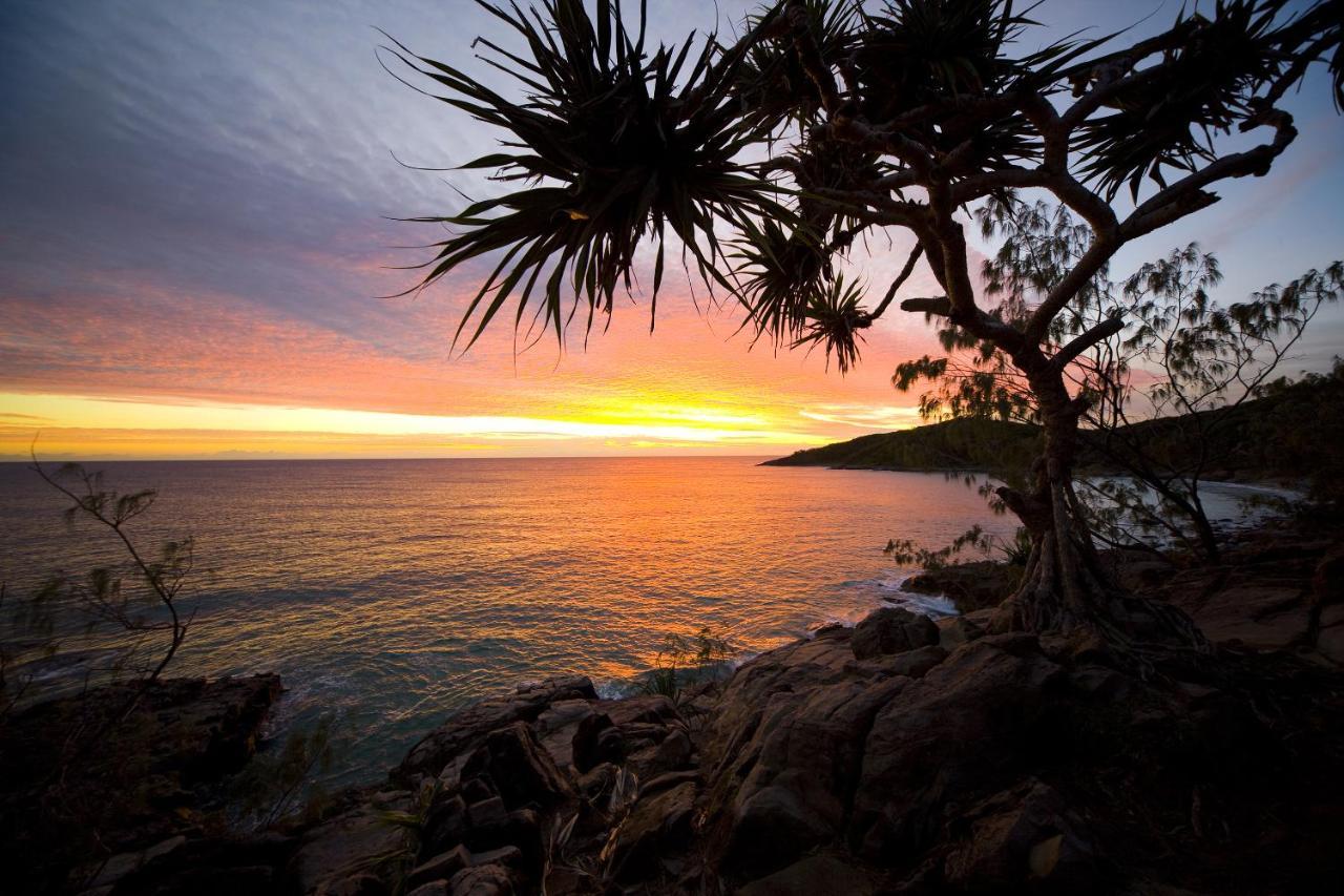 Low Tide On Noosa Sound - Pet Friendly ภายนอก รูปภาพ